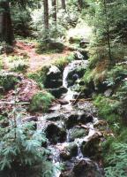 Tip na výlet - Cyklovýlet Železná Ruda, Vodopád, Černé jezero