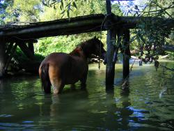 Tip na výlet - Ploučnice 2008